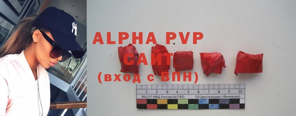 винт Алексин