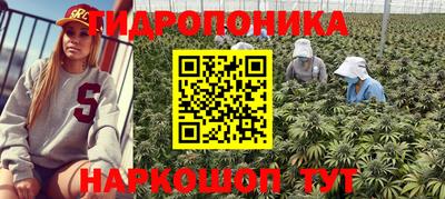 спиды Можайск
