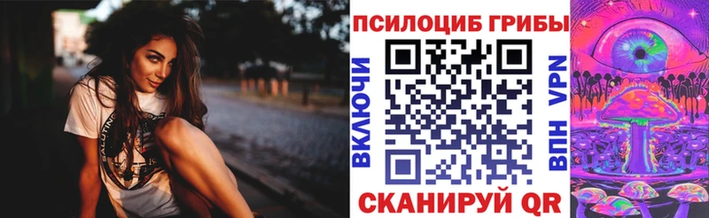 где продают   KRAKEN зеркало  Псилоцибиновые грибы ЛСД  Новокубанск 
