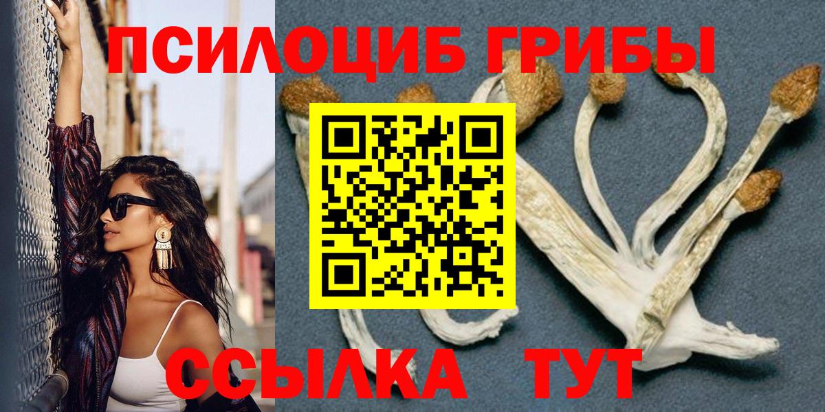 Псилоцибиновые грибы Magic Shrooms Новокубанск
