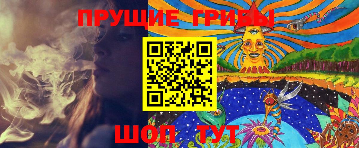 Новокубанск  Галлюциногенные грибы прущие грибы  как найти наркотики  Псилоцибиновые грибы Psilocybine cubensis  Вход с VPN 